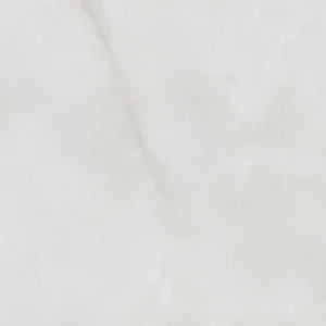 SARDONYX white matt 60x120 rett MJ19 44 (P/Z)