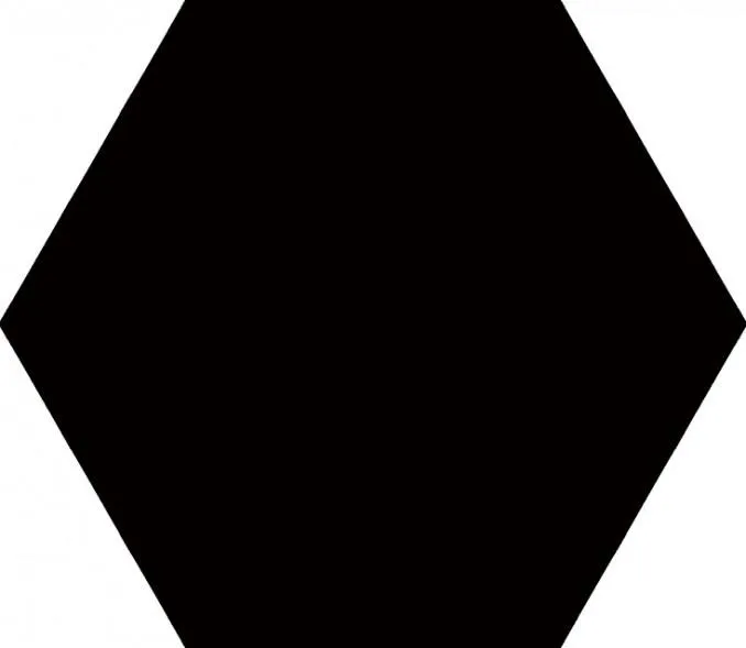 BLACK hexagon 22.5x25.9 874 D (P)