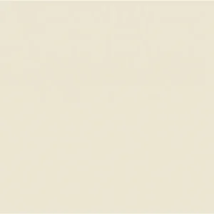 CREMA marfil 60x60 rett A 369 (P/Z)
